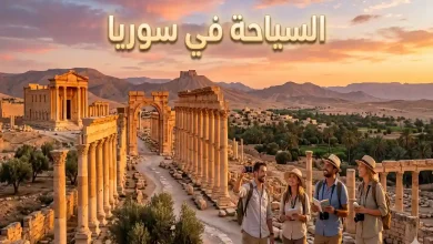 السياحة في سوريا: رحلة عبر التاريخ، الثقافة، وجمال الطبيعة