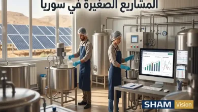 المشاريع الصغيرة في سوريا: تجاوز تقلبات التكاليف المشاريع الصغيرة في سوريا: تجاوز تقلبات التكاليف